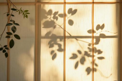 障子に映る木の影と夕暮れの光 障子に映る木の影と夕暮れの光の写真