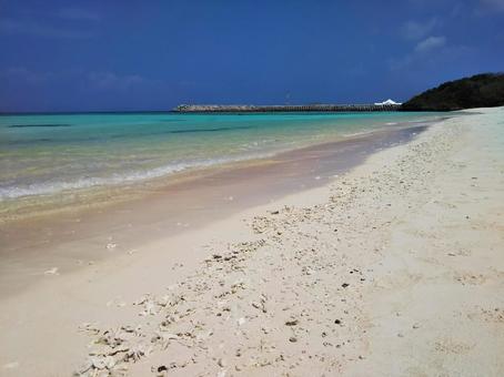 貝殻とサンゴの白い浜 貝殻とサンゴの白い浜 波照間島,砂浜,ビーチの写真素材