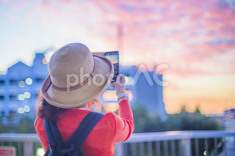 朝焼けをスマホで撮影する女性 人物,朝焼け,スマホの写真素材