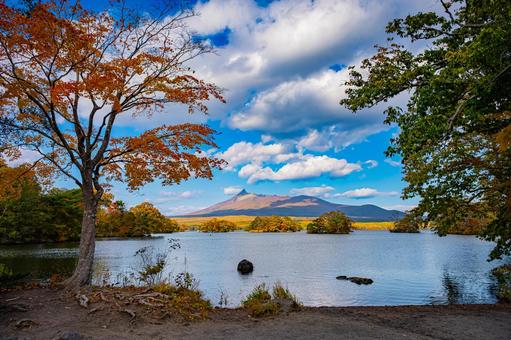 北海道　大沼国定公園　秋の風景 北海道,大沼,函館の写真素材