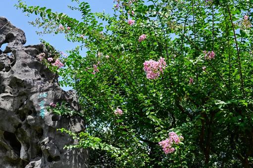 Photo, suzhou, lingering garden, world heritage, 