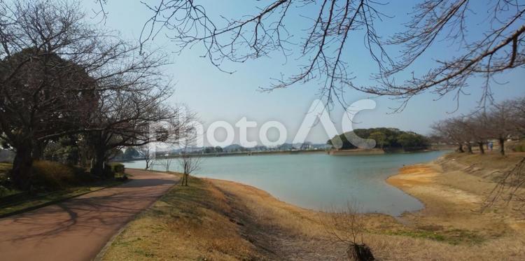 池- 駕与丁公園 池,広い,町中の写真素材
