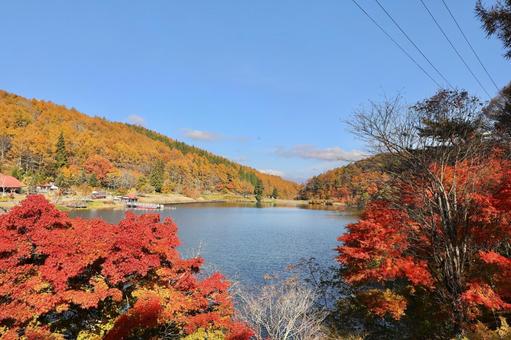 紅葉　長野県　聖湖 紅葉,湖,長野県の写真素材