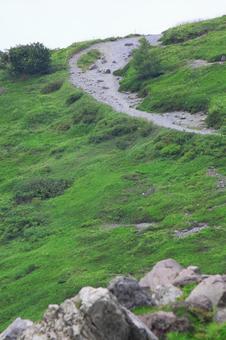 登山道 登山道の写真