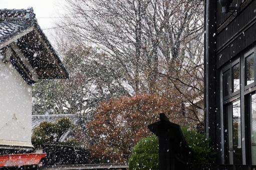 なごり雪 なごり雪の写真