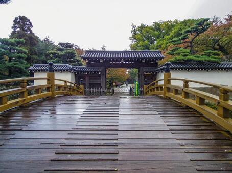 【和歌山県】和歌山市・和歌山城 一の橋 和歌山城,一の橋,和歌山市の写真素材