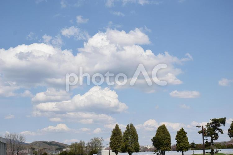 樹木と雲 青空,空,雲の写真素材