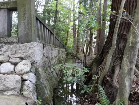 水路 水路の写真