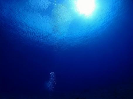 グアムの海 スキューバダイビング グアムの海 スキューバダイビング グアムの海,海,グアムの写真素材