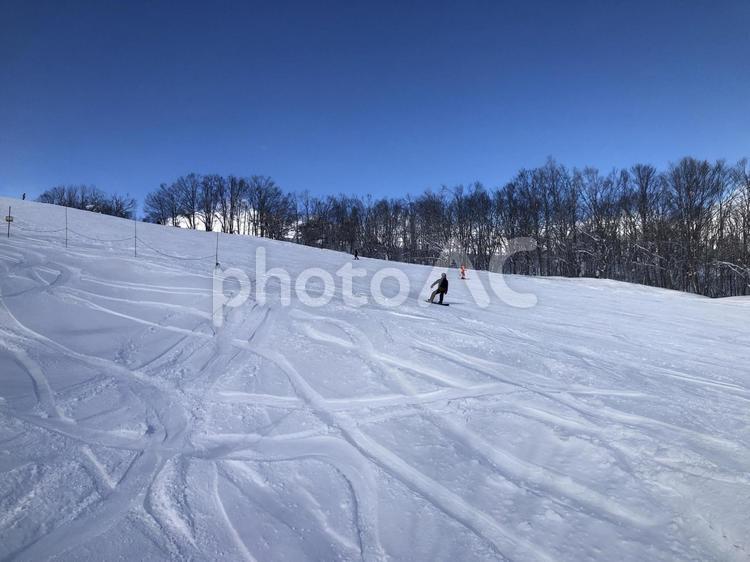 スキー場　ゲレンデ風景　白馬村 スキー場,ゲレンデ,風景の写真素材