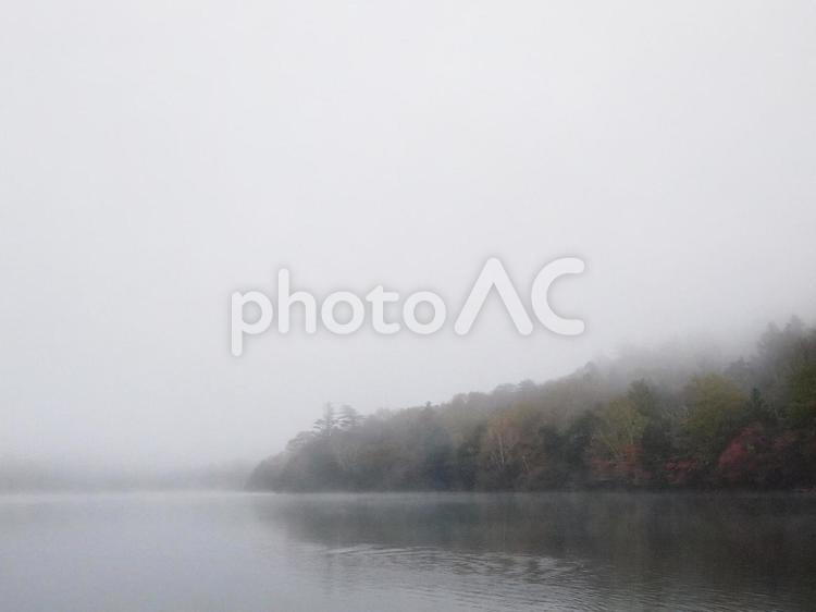 晩秋の日光　幻想的な霧の湯の湖 湯の湖,紅葉,晩秋の写真素材