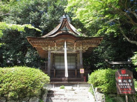 大阪府-観心寺-訶梨帝母天堂(鎮守堂) 大阪府-観心寺-訶梨帝母天堂(鎮守堂)の写真