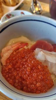 いくら海鮮丼 いくら,イクラ,海鮮丼の写真素材