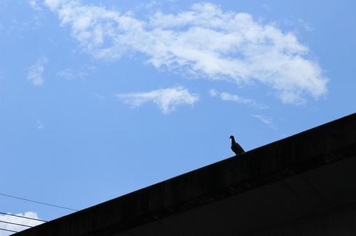 夏の空 夏の空の写真