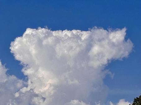 【風景写真】夏空 【風景写真】夏空の写真