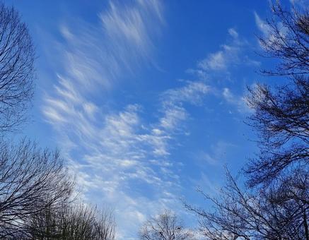 冬の朝 空と雲の風景 冬の朝,晴れ,雲の写真素材