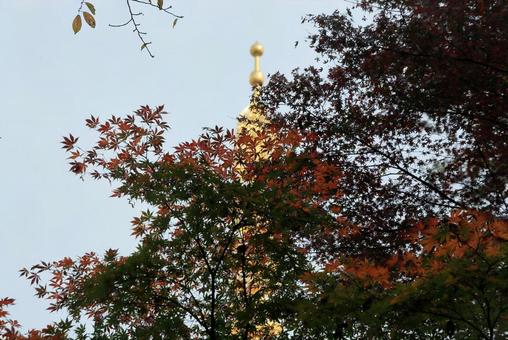 秋色に染まる 秋色に染まるの写真