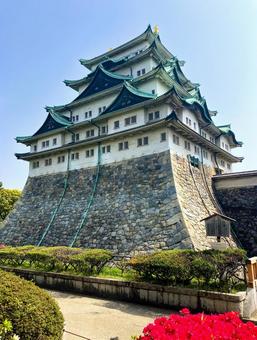 春の名古屋城 春の名古屋城 名古屋城,名古屋,城の写真素材