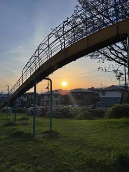 夕日のこうぼうふじみ公園 夕日のこうぼうふじみ公園 こうぼうふじみ公園,夕日,公園の写真素材