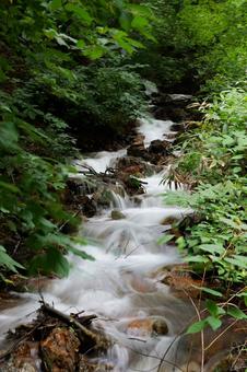 森の綺麗な川 山,自然,木の写真素材