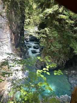 滝 滝の写真