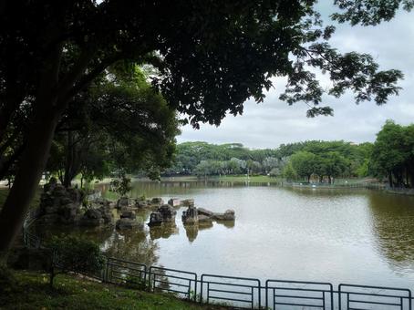 公園の池 中国 公園の池 中国の写真