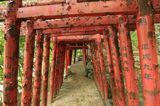 八幡浜市　愛宕山王照院　鳥居と遊歩道 愛宕山王照院,愛宕山,神社の写真素材