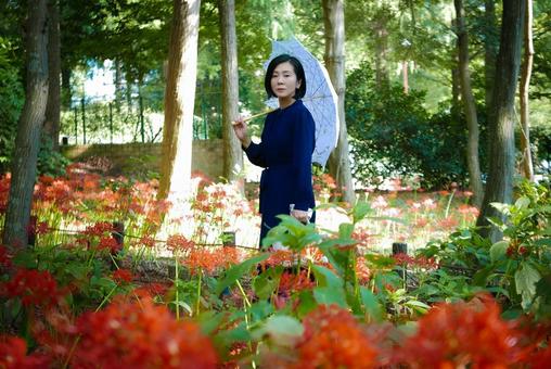40:彼岸花を静かに眺める女性 40:彼岸花を静かに眺める女性 彼岸花,ミステリアス,悲しげの写真素材