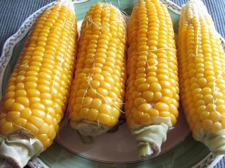 食べ物 トウモロコシ 食べ物 トウモロコシ トウモロコシ,夏野菜,もろこしの写真素材
