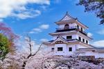 爽やかな青空と白石城と染井吉野 建物,城,白石城の写真素材