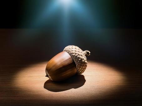 どんぐりにスポット_AS00006の写真