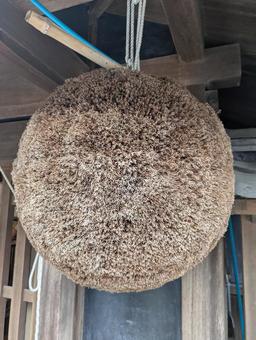 杉玉 杉玉の写真