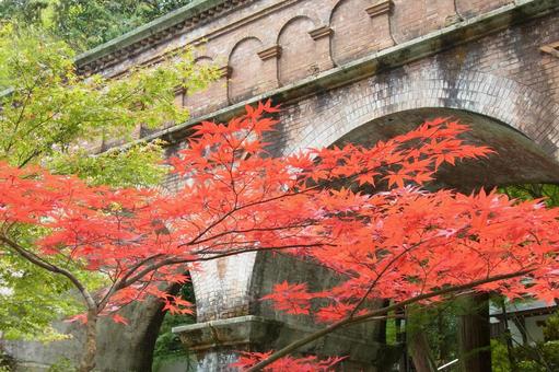 南禅寺 水路閣 レンガ造り 紅葉 錦秋 南禅寺 水路閣 レンガ造り 紅葉 錦秋の写真