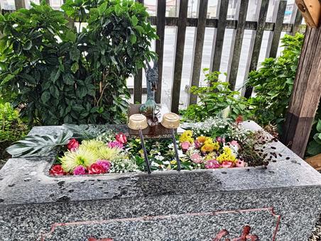 花手水 花手水 花手水,花,生花の写真素材