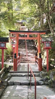 水と信仰の神域へ誘（いざな）う朱 貴船神社,京都,鳥居の写真素材