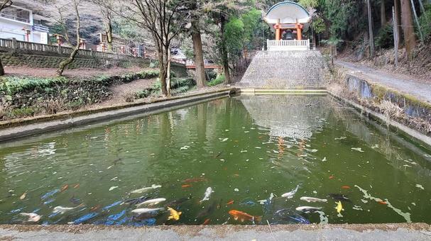 坂東33観音 17番 満願寺 池と鐘楼 坂東33観音 17番 満願寺 池と鐘楼 満願寺,出流山,池の写真素材