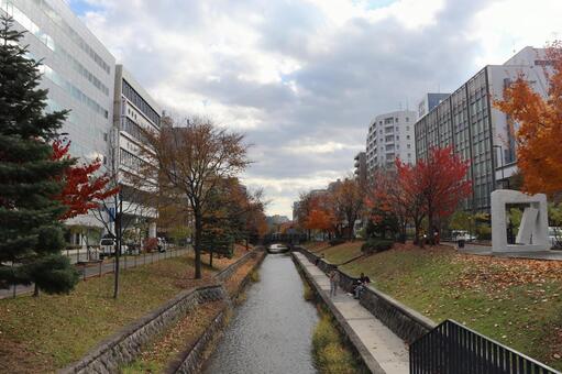 創成川 北海道,札幌市,河川の写真素材