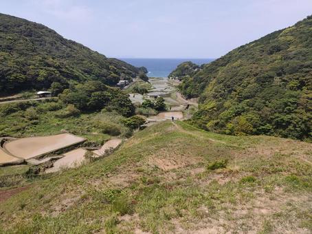 春日の棚田 春日の棚田 あぜ道,春日,棚田の写真素材