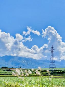 青空鉄塔ススキ 青空鉄塔ススキの写真