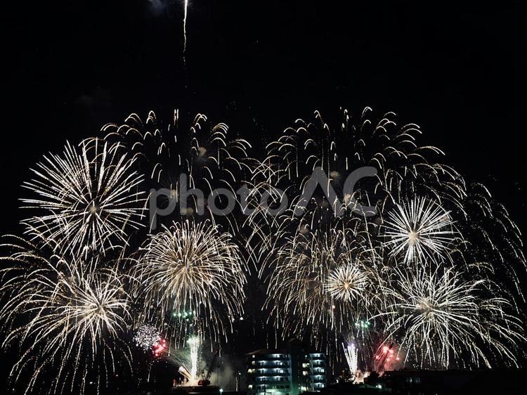 大輪の花火が夜空を鮮やかに彩る 花火,花火大会,打ち上げ花火の写真素材