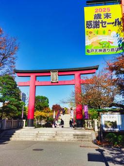 亀井戸天満宮　鳥居 亀戸天満宮,神社,仏閣の写真素材