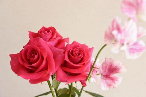 薔薇とスイートピー 薔薇とスイートピーの写真