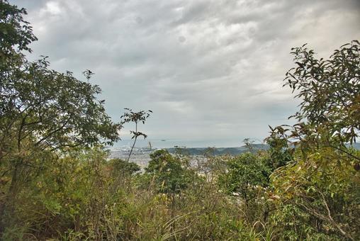 高御位山の写真