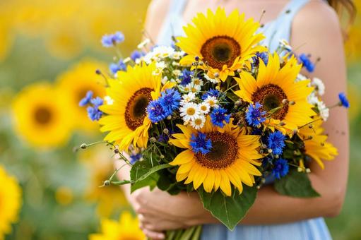 ひまわり畑で花束を持つ女性 ひまわり畑で花束を持つ女性の写真