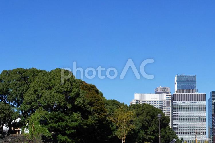 丸の内周辺のビルと青空 東京,風景,景観の写真素材