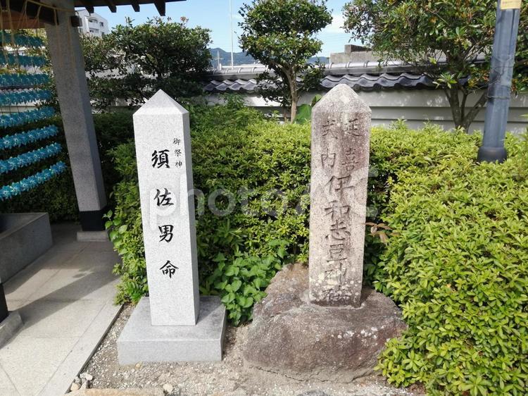 伊和志津神社 伊和志津神社,神社,参道の写真素材