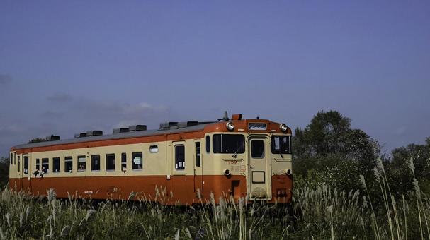 ススキの中を行く キハ４０－１７５９,キハ４０,ディーゼル鉄道車両の写真素材