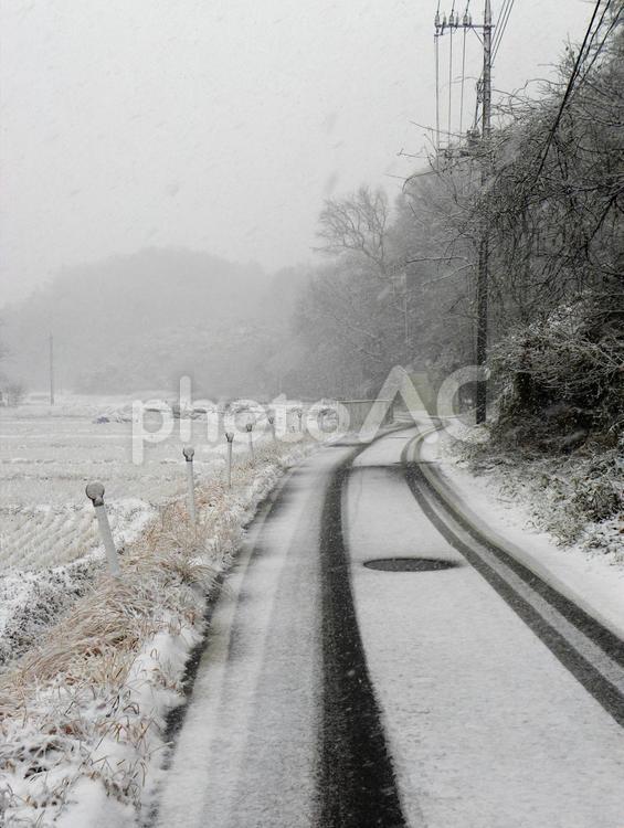 雪の日　道路　車の走行跡 積雪,走行跡,路面の写真素材
