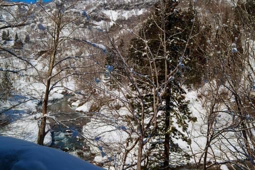250320秋山郷清水川原 250320秋山郷清水川原 秋山郷,長野県,栄村の写真素材