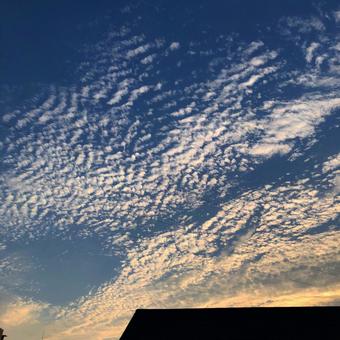 空 空の写真